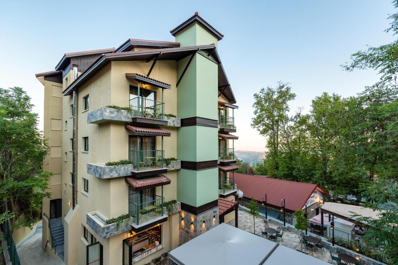 Petit Palais Platres Boutique Hotel Buitenkant foto