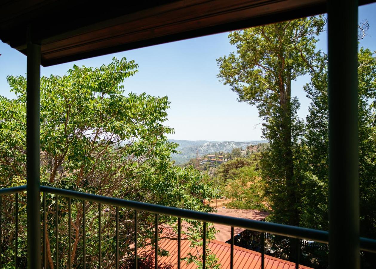 Petit Palais Platres Boutique Hotel Buitenkant foto